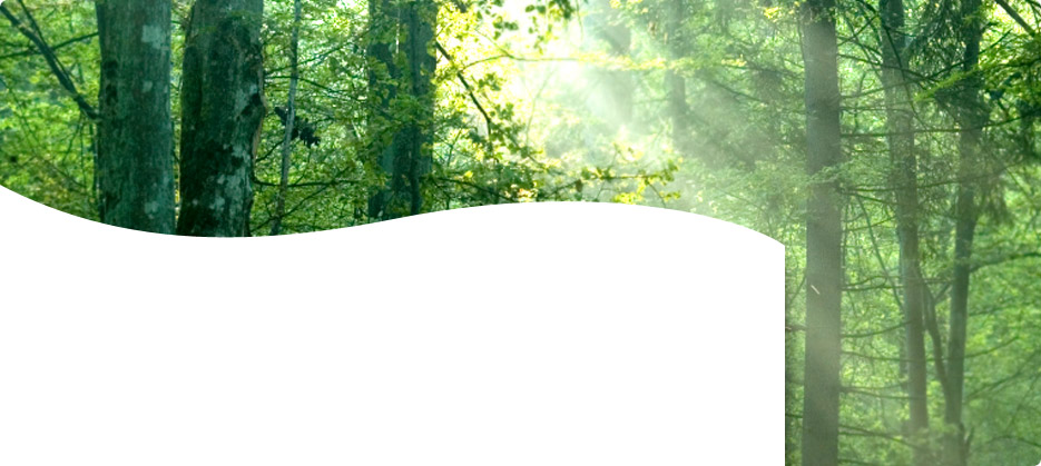 Erneuerbare Energien